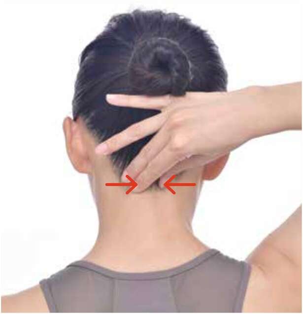 つらい「スマホ首」を指先でリセット! 1日30秒でできる首のうしろのリンパケア 15614818_615.jpg