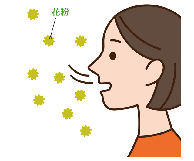 花粉症とアレルギー性鼻炎の違いって？／花粉症最新治療（２） 1802p010_01.jpg