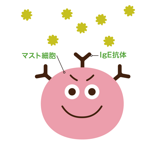 花粉症とアレルギー性鼻炎の違いって？／花粉症最新治療（２） 1802p010_02.jpg