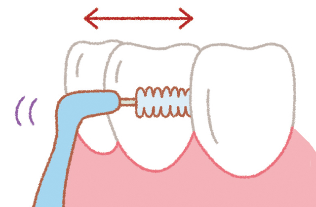 歯と歯の"スキマ"で使い分け。歯間のケアは歯間ブラシやデンタルフロスを／口と歯 1806p051_01.jpg