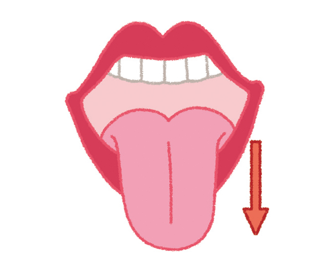 すきま時間で可能！ 口内環境を整える「だ液腺マッサージ＆舌の体操」／口と歯 1806p054_05.jpg