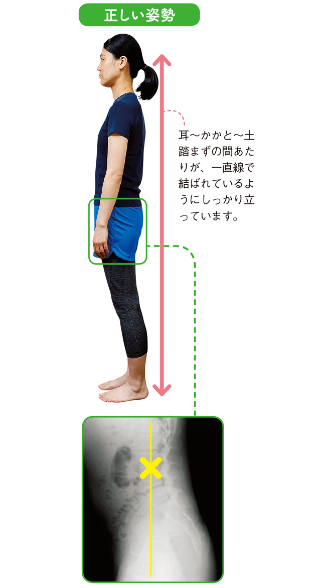 日本人女性の9割は骨盤が後倒！「体のゆがみ」基礎知識 1908p046_1.jpg