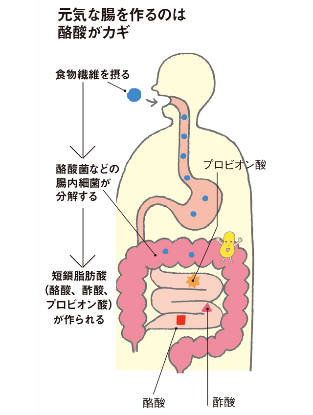 大腸がんの罹患率が低い理由は...⁉　長寿の町・京丹後市の「腸のチカラ」 2001p022_01.jpg