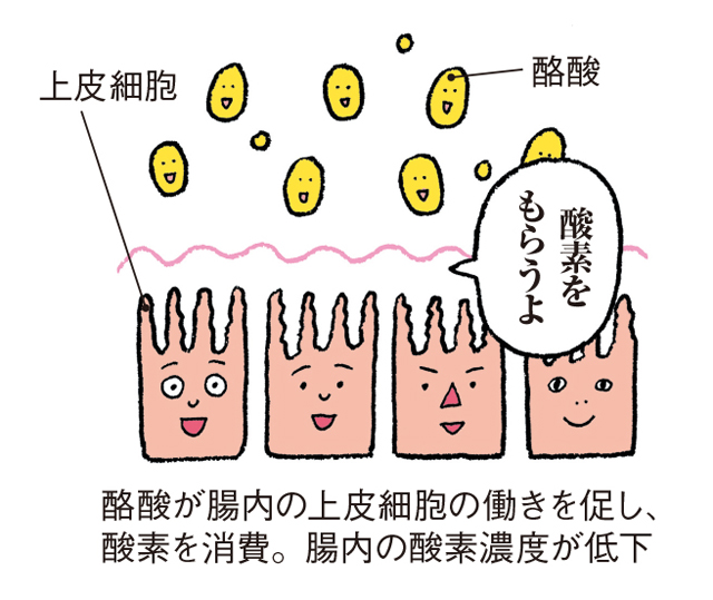 大腸がんの罹患率が低い理由は...⁉　長寿の町・京丹後市の「腸のチカラ」 2001p022_03.jpg