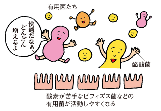 大腸がんの罹患率が低い理由は...⁉　長寿の町・京丹後市の「腸のチカラ」 2001p022_04.jpg