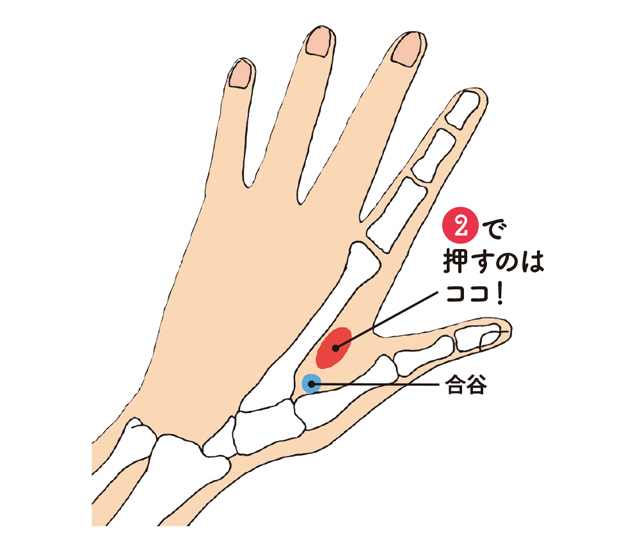 手根管症候群などに。爪を立てて刺激する「人さし指の付け根」の10秒神経マッサージ 2001p059_03.jpg