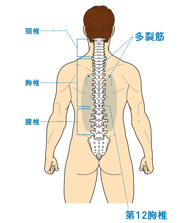 背中の筋肉、動かしてますか？ 腰痛や肩こりに効く「背中反らしストレッチ」のススメ 2002p074_01.jpg