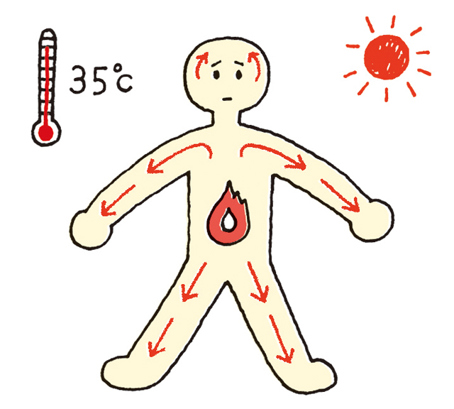 ドロドロ血に要注意！ 熱中症を予防する「夏の新習慣」【まとめ】 2008_P047_001.jpg