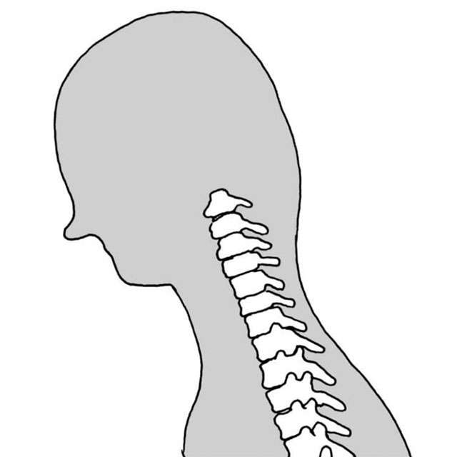 長引く肩こりは首の異常かも？ 姿勢を正して頚椎や背骨を守る生活習慣と「肩甲骨ストレッチ」 2202_P084_01.jpg