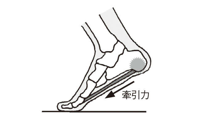 加齢による筋力低下と足指の使い方が要因！ 「足裏の痛み」セルフチェック 2211_P079_03.jpg