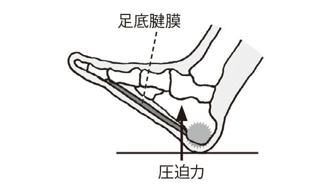 加齢による筋力低下と足指の使い方が要因！ 「足裏の痛み」セルフチェック 2211_P079_04.jpg