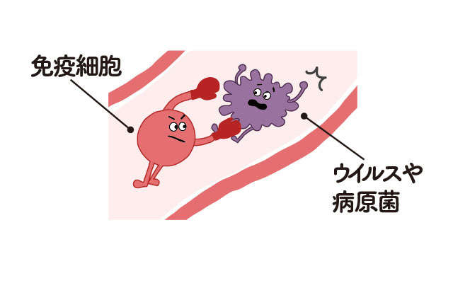 「血管力の低下」がしわ、しみ、免疫力に影響...！ 知っておきたい「血管が喜ぶ生活習慣」 2302_P010_04.jpg