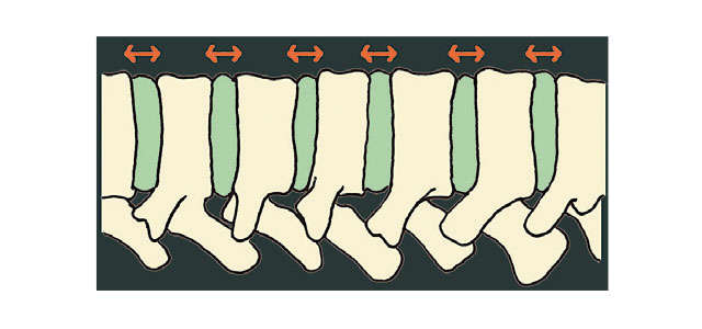 腰痛・しびれに。「正すべき4つのクセ」と「寝たまま体操」を徳島大学医学部の西良浩一教授が伝授 2307_P040-041_08.jpg