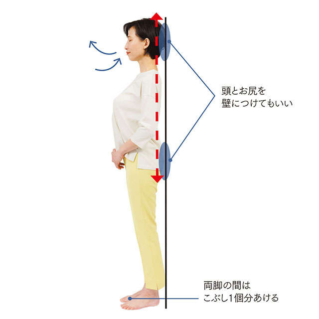 腰痛・しびれに。「正すべき4つのクセ」と「寝たまま体操」を徳島大学医学部の西良浩一教授が伝授 2307_P040-041_09.jpg