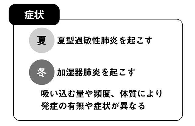 過敏性肺炎のリスクあり。 加湿器の雑菌やクーラーなどのカビに注意【呼吸器内科の坂本先生が解説】 2401_P070-071_05.jpg