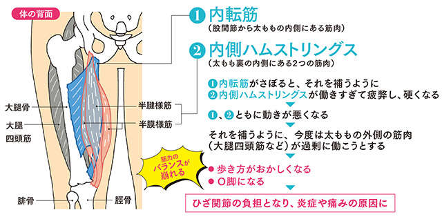1日1分からでひざ痛解消！ 「さぼり筋」を鍛える簡単おうちトレーニング 2505_P005.jpg