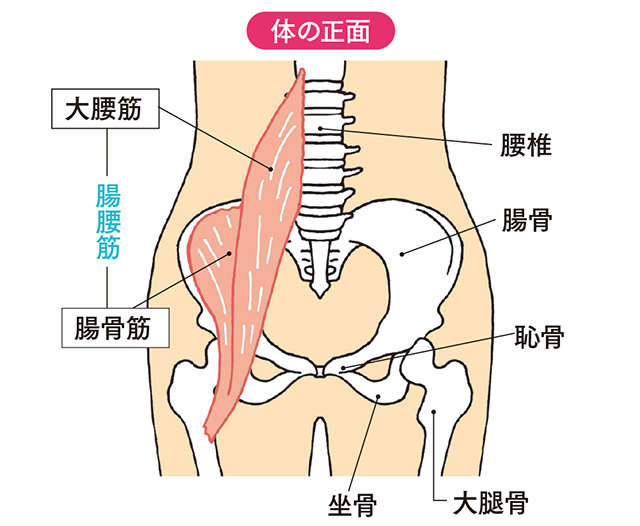 座ったままできる！ 転倒予防に鍛えておきたい「腸腰筋」トレーニング 2505_P010_3.jpg