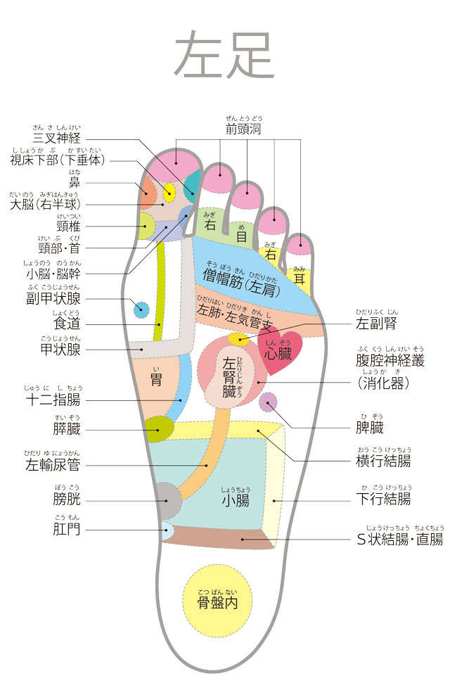 【足裏の専門家が伝授】ここが痛いと要注意！足裏のゾーンマップ hidari241024修正_足裏ゾーンマップ-(1)-2.jpg