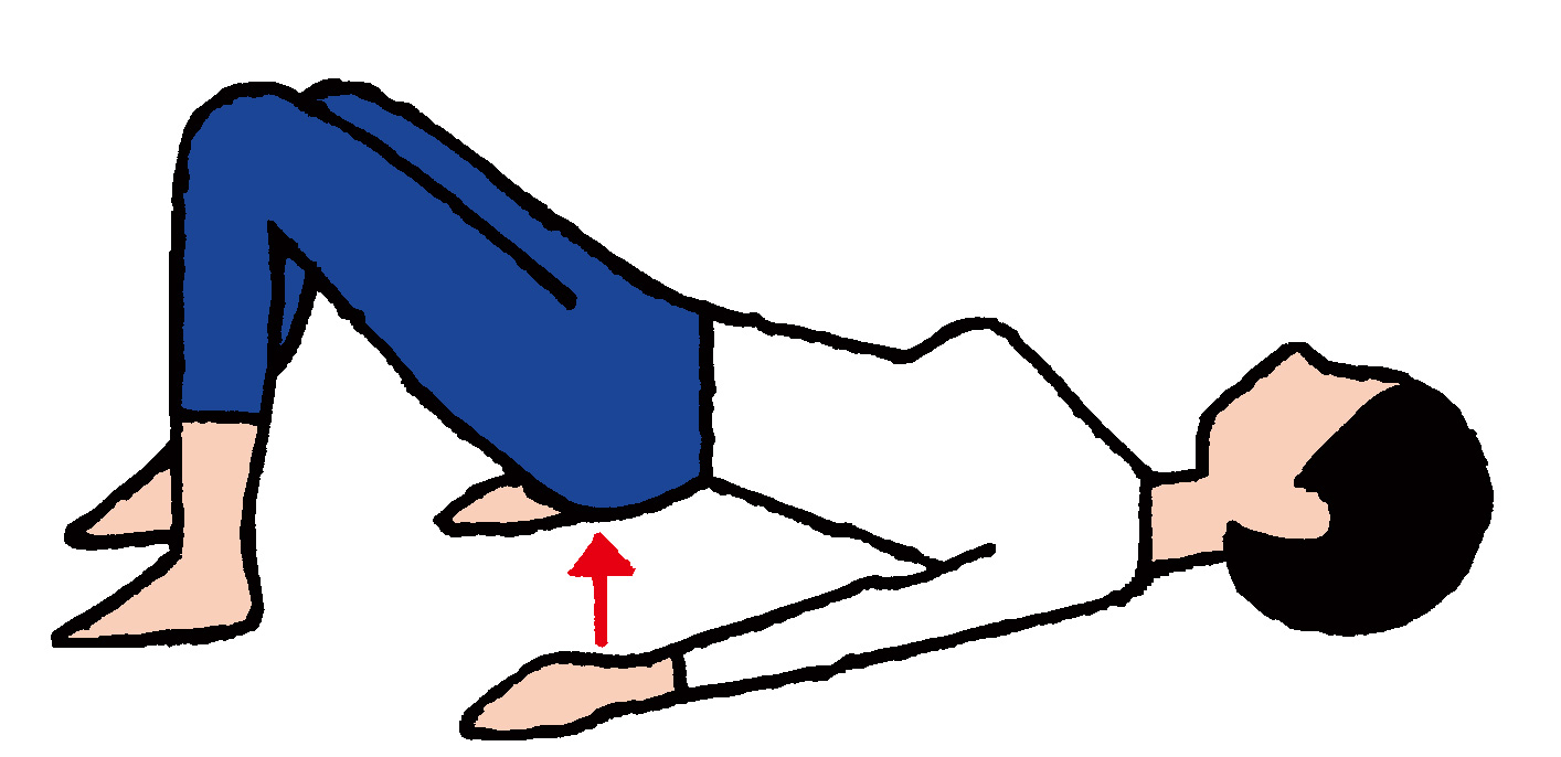 ひざ開き体操 お尻浮かし体操 で坐骨神経痛を改善 坐骨神経痛 毎日が発見ネット