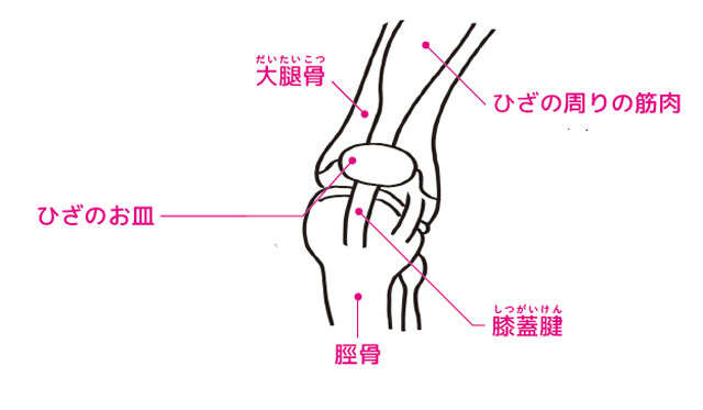 ひざの曲げ伸ばしがラクに！1日1回「ひざのお皿」をほぐして疲れを癒やす方法 0703.jpg