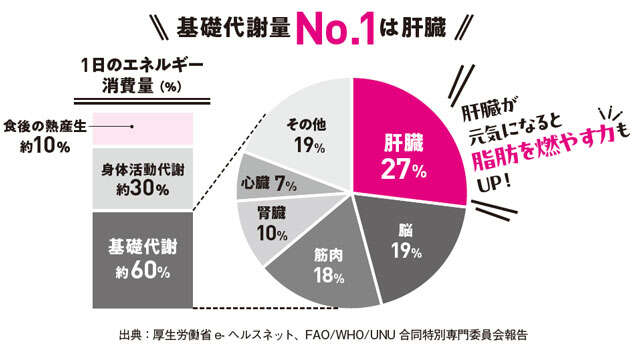 「肝臓」が元気になると「やせやすい体」になる!仕組みを医師が解説 0301.jpg