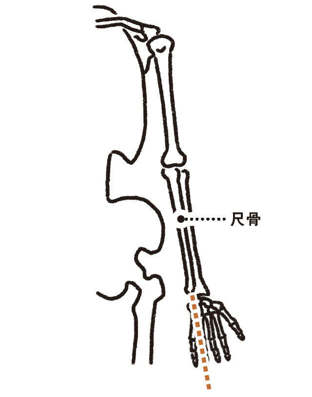 絆創膏で「首こり」をケア【Youtubeチャンネル登録者120万人超の理学療法士直伝】 名称未設定-6.jpg