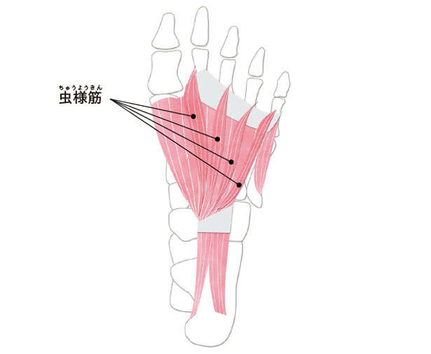 【坐骨神経痛には「足指ひろげ」】足指をまとめてタテに動かして指の付け根をしっかり伸ばす 041.jpg
