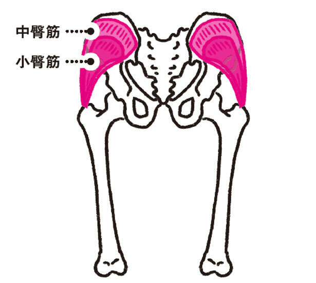 股関節の痛みにアプローチ!「絆創膏」でできる筋肉への刺激方法【理学療法士が教える】 0802.jpg
