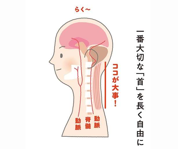 自律神経の乱れや血圧の上昇につながる可能性あり。全身の緊張をとるために大切な「体の部位」 12633040_615.jpg