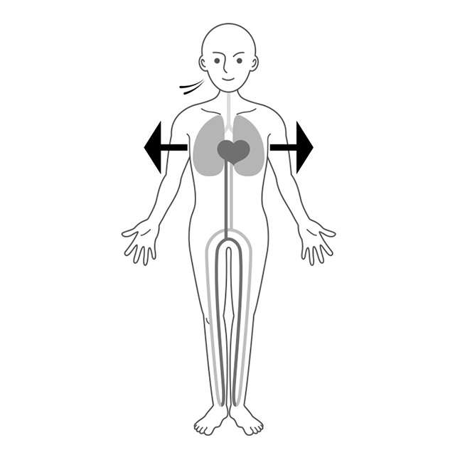 「下肢静脈瘤」はなぜ起こる？ 身体の仕組みを理解して「リスク」に備えよう 荳玖い髱呵ц逖､_逕ｻ蜒・kashi_P081_02.jpg