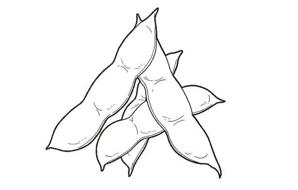 【貧血を卒業】鉄分補給に「枝豆」を料理に取り入れよう!調理のポイントも紹介 14271569_615.jpg