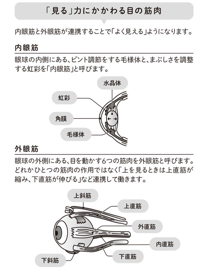 視力は戻らないとあきらめていませんか？ 目のコリをほぐす「マジカルフレーズ」で得られる4つの効果 magicalphrase21.jpg