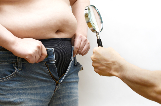 溜め込まれた脂肪が山のように。「肥満」は万病のもと！／やさしい家庭の医学 pixta_31259007_S.jpg