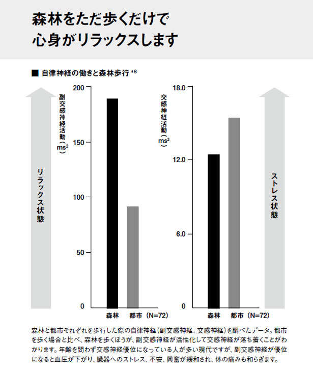 心も体も若返る！自然の中でのんびりするだけの健康法【総合診療科の医師が伝授】 shinrin.jpg