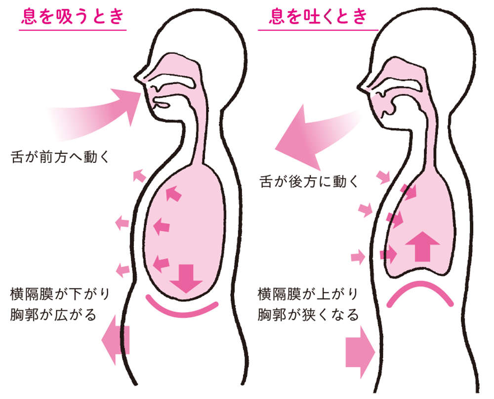 「舌力」低下が肩こりの原因に!? 舌が深く関係する「鼻呼吸」を定着させる、おすすめ「マイルール」 shitakoso96.jpg