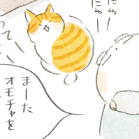 ねこのタマさん 邪魔ですよ ねことじいちゃん 第63回 毎日が発見ネット