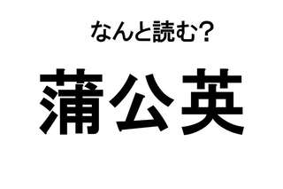 【なんと読む？】「蒲公英」の読み方は？ なじみのある植物の名前です／難読漢字
