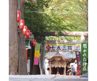 「龍」好きにはたまらない！好きなことを仕事にしたいなら「田無神社」（東京都）【龍がいる神社】