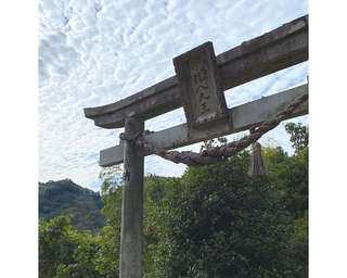 鳥居をくぐると別世界！強力なパワースポット「神龍八大龍王神社」（熊本県）【龍がいる神社】