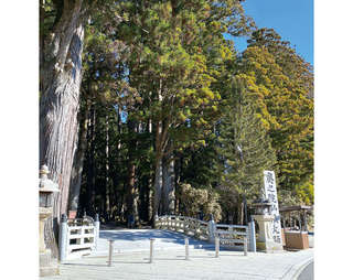 龍が見えるようになる⁉ 龍神パワーを感じる特別な場所「高野山金剛峯寺・奥之院」（和歌山県）