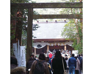 二千年の歴史をもつ神社で金運アップ！金運と奇跡を呼ぶ「椿大神社」（三重県）【龍がいる神社】