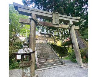 辰年の今年中に行きたい！お金が昇り龍のごとく舞い込む「玉置神社」（奈良県）【龍がいる神社】