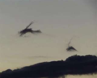 「雲がほかのものに見える現象」には名前があった！　気象学者が教える空の豆知識