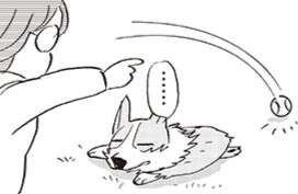 パリッ！ 10歳を過ぎてから寝てばかりの愛犬が、目を輝かせて飛んでくる「音」【柴門ふみさん描きおろし「いつも犬が居た」】