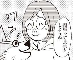 若者犬にお疲れ気味の11歳愛犬。「がんばって長生きしようね」【柴門ふみさん描きおろし「いつも犬が居た」】