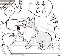抱っこしちゃダメ⁉ 生後3カ月でやってきた子犬の飼い方は？【柴門ふみさん描きおろし「いつも犬が居た」】