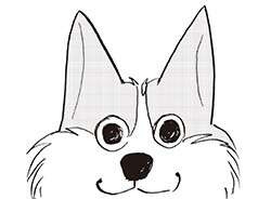 12歳の愛犬。嗅覚は変わらずでも聴覚は弱って来たかと思ったら...⁉【柴門ふみさん描きおろし「いつも犬が居た」】