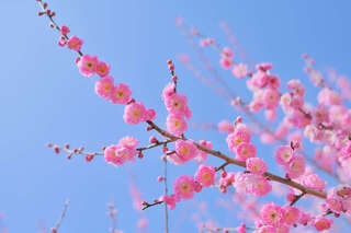 【2026年「一白水星」の人の運勢】家族の絆が支えに！孤独を脱ぎ捨て、心身を癒やす一年