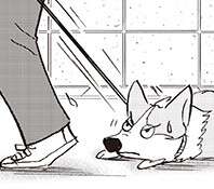 犬も人間も同じだった...！愛犬の脚が急に衰えてきてわかったこと【柴門ふみさん描きおろし「いつも犬が居た」】