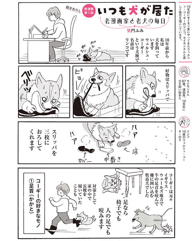 柴門ふみさん描きおろし連載スタート！ 愛犬との日々を綴る『いつも犬が居た』 2407_P102_01.jpg